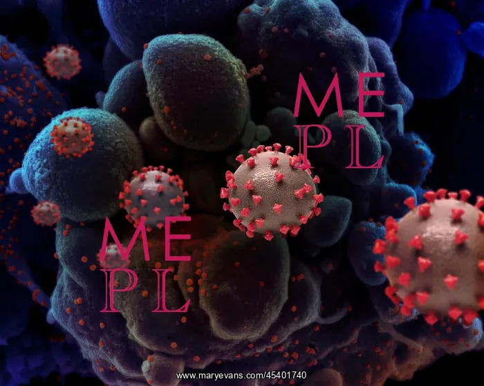 : Creative NIAID illustration of SARS-CoV-2 virus : Creative NIAID illustration of SARS-CoV-2 virus