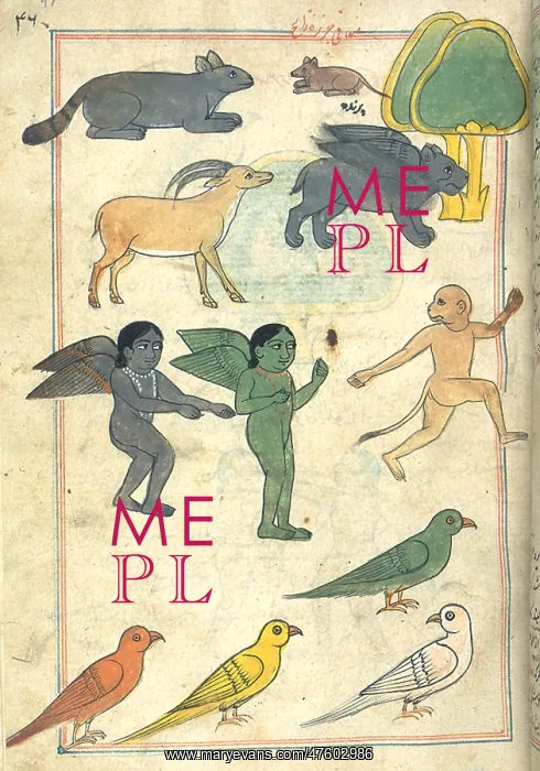 : Creatures from the Island of Zanj, 17th Century : Creatures from the Island of Zanj, 17th Century