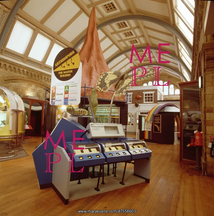 : Creepy Crawlies exhibition : Creepy Crawlies exhibition
