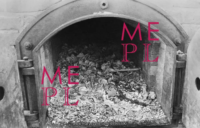 : Cremation oven at the Lublin / Majdanek Concentration : Cremation oven at the Lublin / Majdanek Concentration