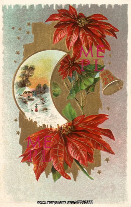 : Crescent Moon Inset : Crescent Moon Inset
