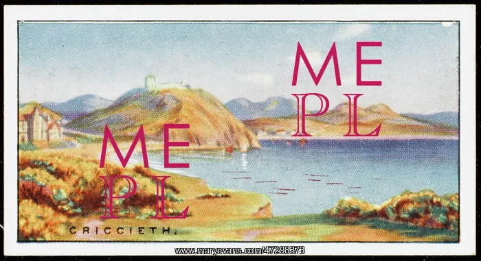  : CRICCIETH / WALES / CIG CARD