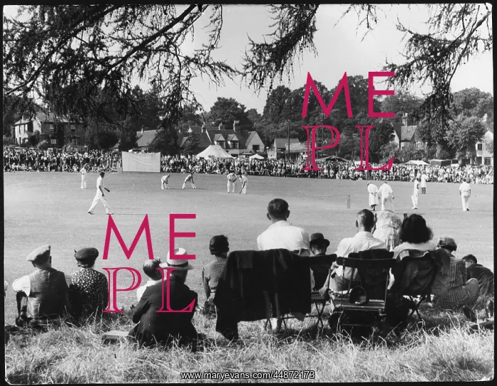 : CRICKET AT BEARSTEAD : CRICKET AT BEARSTEAD
