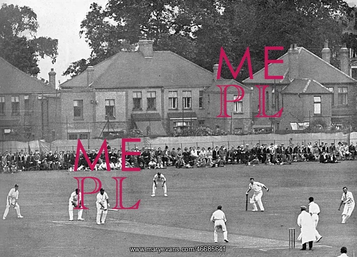 : Cricket at Blackheath : Cricket at Blackheath