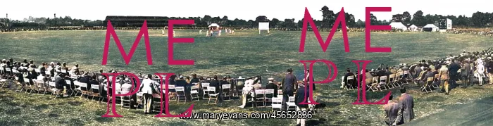 : Cricket at Clacton-on-Sea : Cricket at Clacton-on-Sea