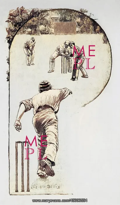 : Cricket Crafty Bowling : Cricket Crafty Bowling