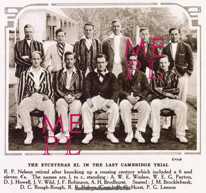 : Cricket - the Etceteras XI : Cricket - the Etceteras XI