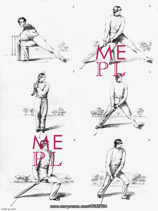 : Cricket Felix on the bat : Cricket Felix on the bat