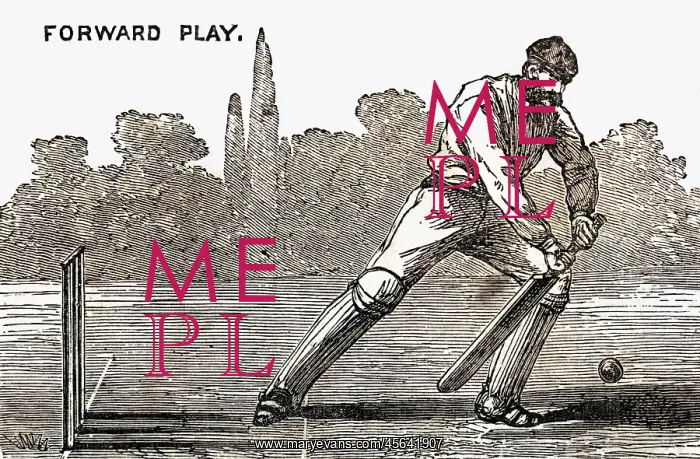  : Cricket Forward Play Shot