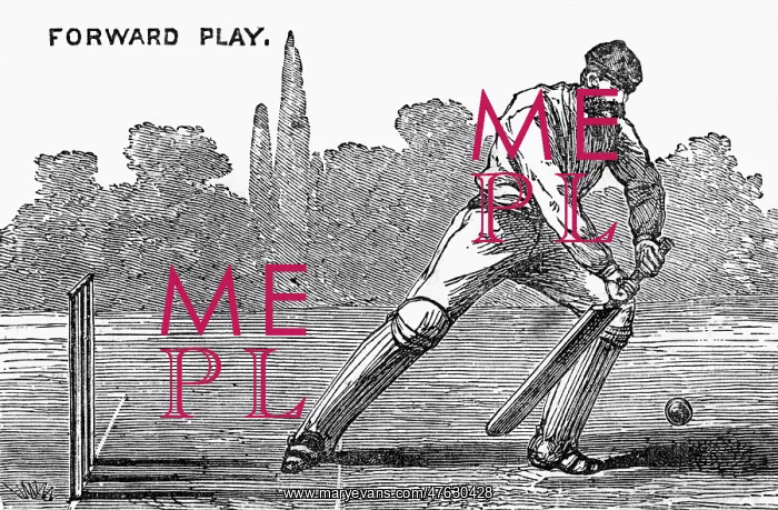  : Cricket Forward Play Shot