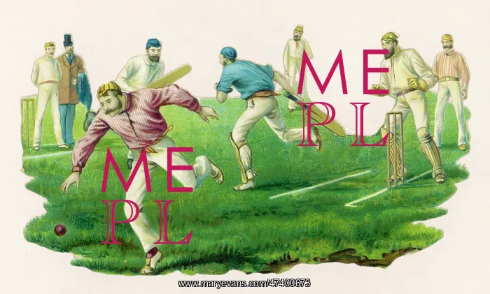 : Cricket - Going for a Run : Cricket - Going for a Run