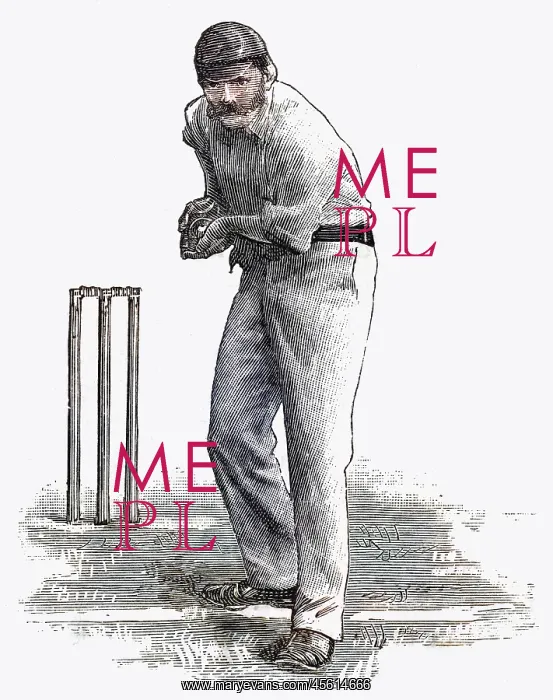 : Cricket a hot return : Cricket a hot return