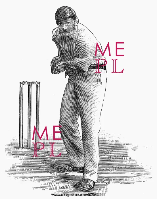 : Cricket a hot return : Cricket a hot return