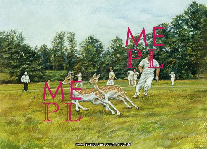 : Cricket at Knole Park, Sevenoaks : Cricket at Knole Park, Sevenoaks