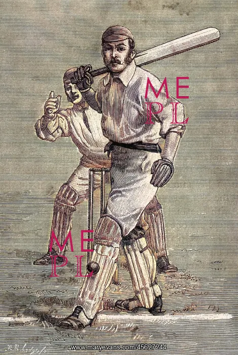 : Cricket Leg Before Wicket : Cricket Leg Before Wicket