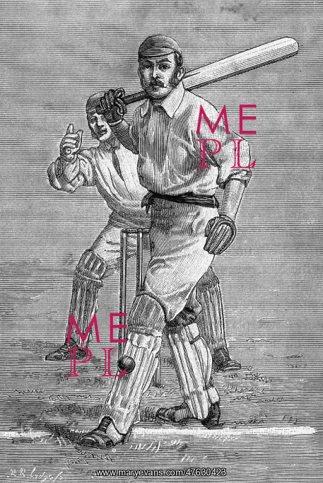 : Cricket Leg Before Wicket : Cricket Leg Before Wicket