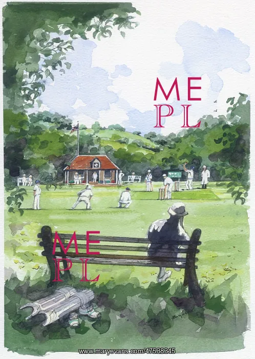 : Cricket Match : Cricket Match