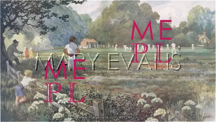 : Cricket match by Alfred Bestall : Cricket match by Alfred Bestall