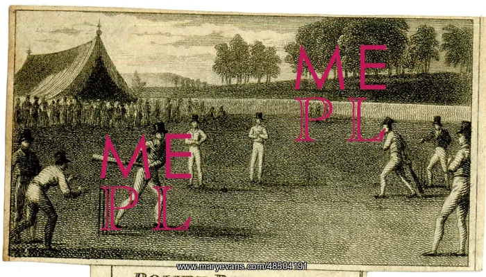 : Cricket match in progress : Cricket match in progress