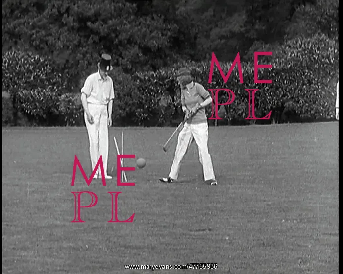 : A Cricket Match In Progress with Playwright : A Cricket Match In Progress with Playwright