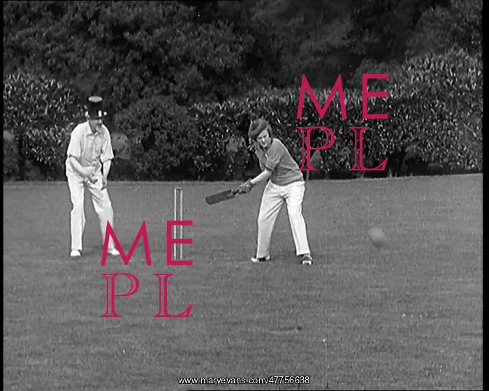 : A Cricket Match In Progress with Playwright : A Cricket Match In Progress with Playwright