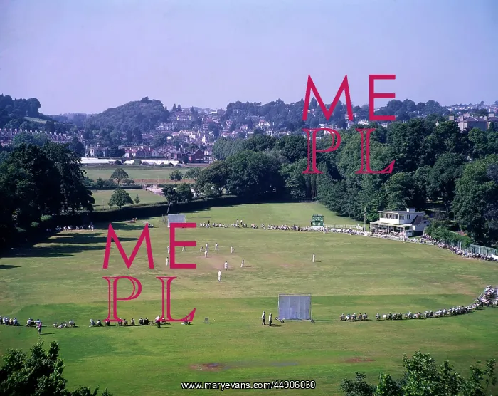  : Cricket match in progress, Torquay, Devon