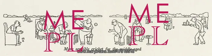 : Cricket for the middle-aged - W H Robinson : Cricket for the middle-aged - W H Robinson