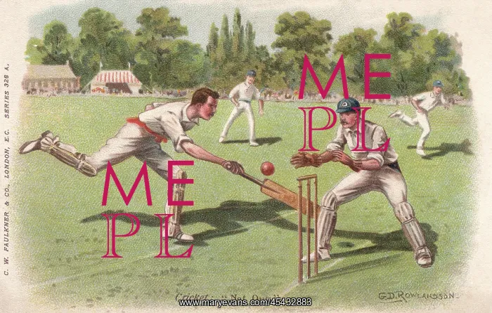 : Cricket, Not Out, G D Rowlandson : Cricket, Not Out, G D Rowlandson