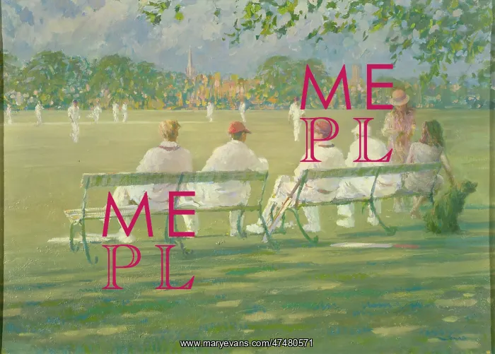  : Cricket Party ' four players on benches