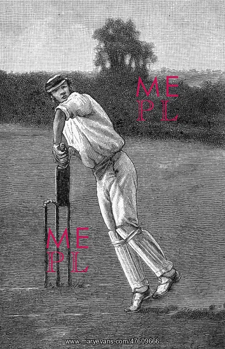  : Cricket Back Play Shot