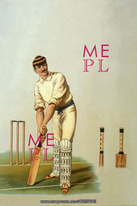  : Cricket Player