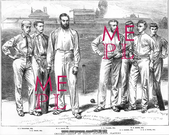 : Cricket Players - Grace : Cricket Players - Grace