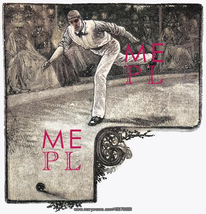 : Cricket Preventing a Boundary : Cricket Preventing a Boundary