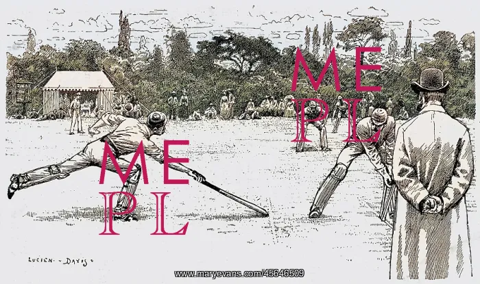 : Cricket A Run Out : Cricket A Run Out