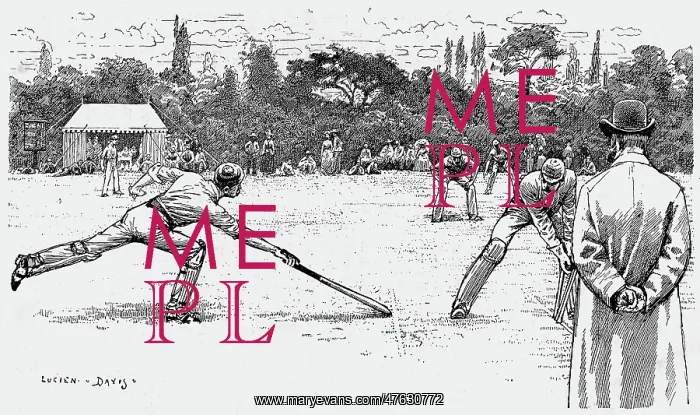 : Cricket A Run Out : Cricket A Run Out