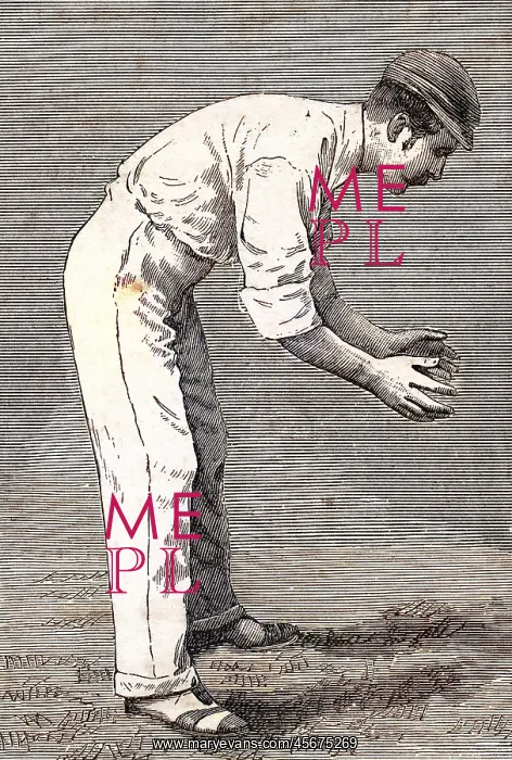: Cricket Short Slip : Cricket Short Slip