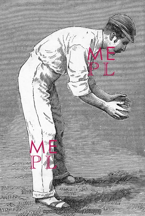: Cricket Short Slip : Cricket Short Slip