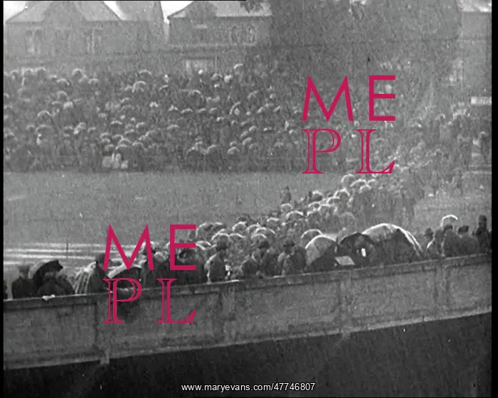 : Cricket Spectators Sheltering Under Umbrella : Cricket Spectators Sheltering Under Umbrella