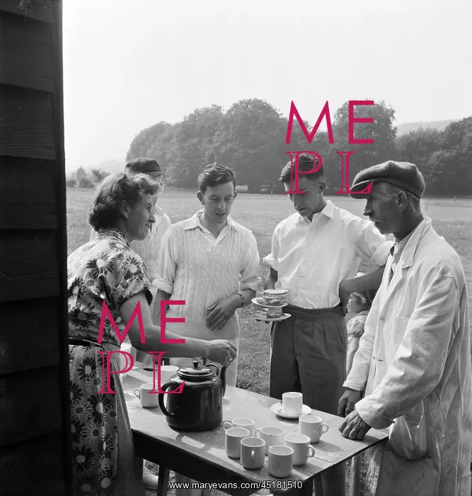 : Cricket Tea : Cricket Tea