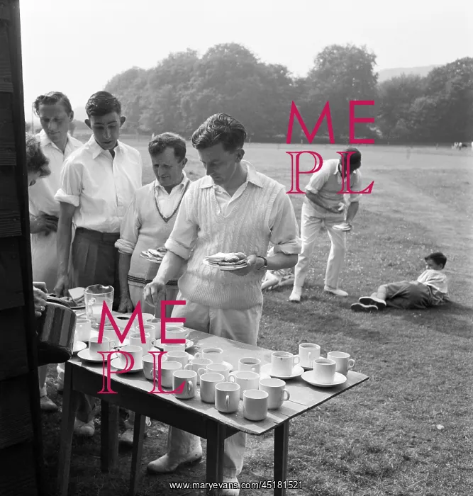 : Cricket Tea : Cricket Tea