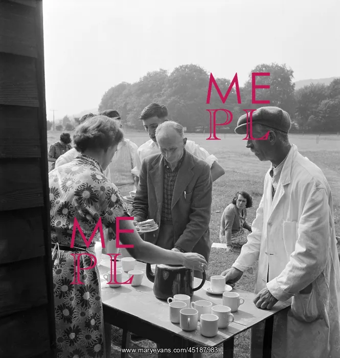 : Cricket Tea : Cricket Tea