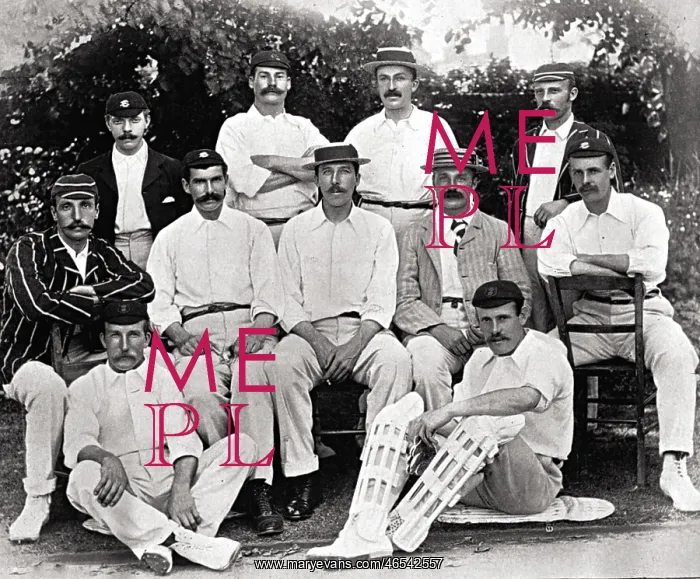 : CRICKET / TEAM / PLAYERS : CRICKET / TEAM / PLAYERS