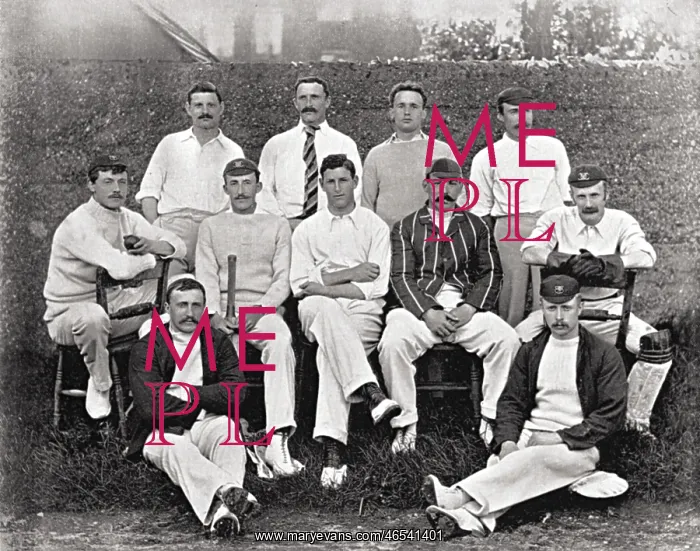 : CRICKET / TEAM / SOMERSET : CRICKET / TEAM / SOMERSET