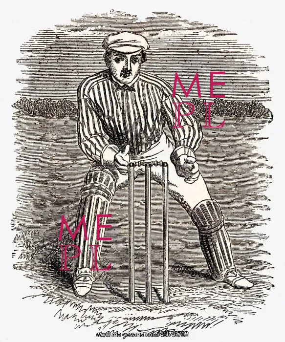 : Cricket The Wicket Keeper : Cricket The Wicket Keeper