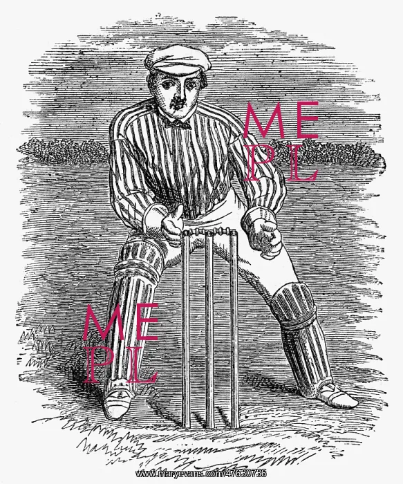 : Cricket The Wicket Keeper : Cricket The Wicket Keeper