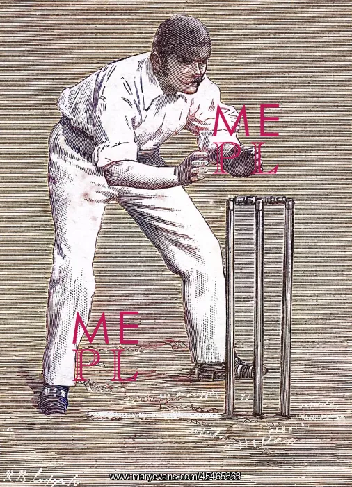 : Cricket Wicket Keeping : Cricket Wicket Keeping
