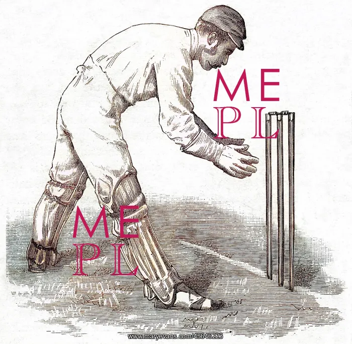 : Cricket Wicket Keeping : Cricket Wicket Keeping