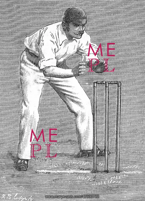 : Cricket Wicket Keeping : Cricket Wicket Keeping