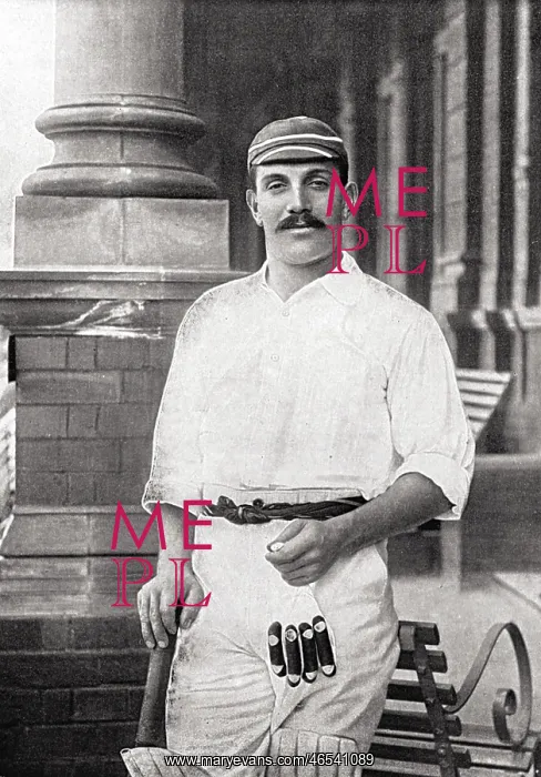 : CRICKETER, BROWN : CRICKETER, BROWN