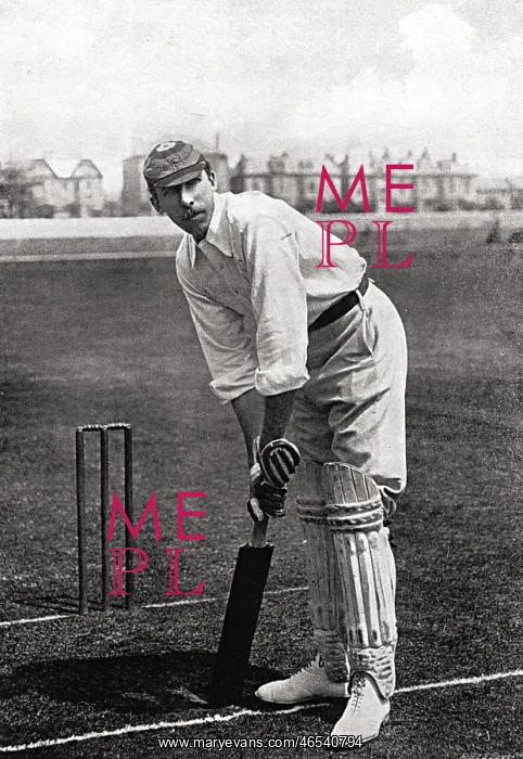 : CRICKETER, GUNN : CRICKETER, GUNN